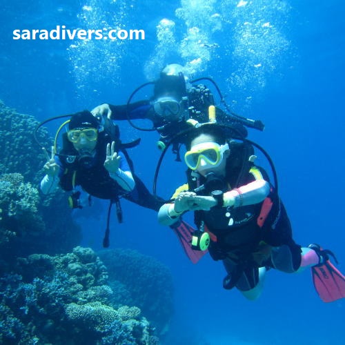 Dive Master Kurs