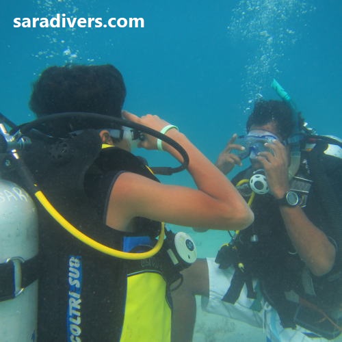 scubadiverkurs